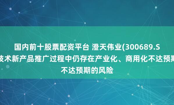 国内前十股票配资平台 澄天伟业(300689.SZ)：新技术新产品推广过程中仍存在产业化、商用化不达预期的风险